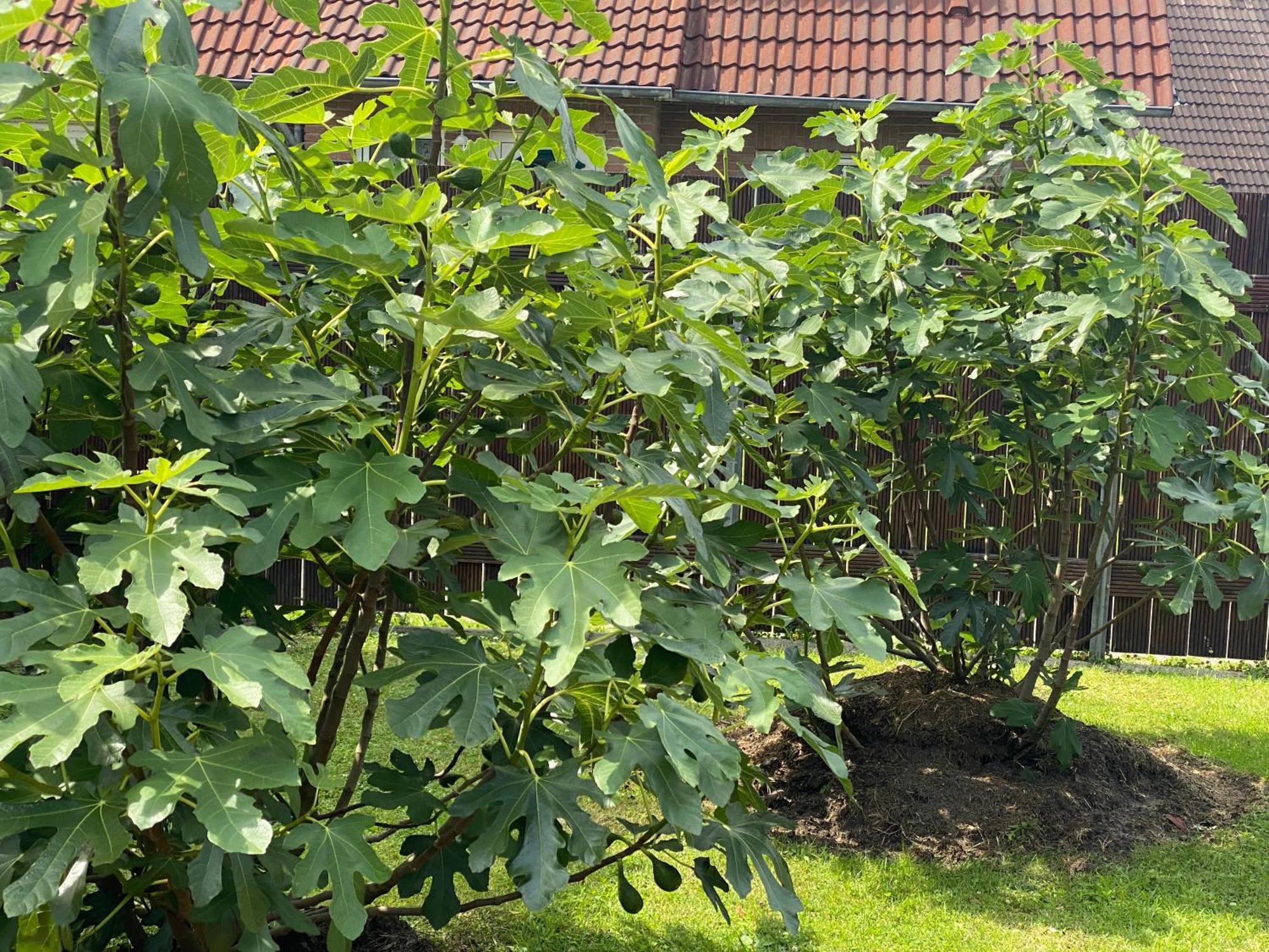 Ferienhaus Ankerweg An Der Seehundstation 노르다히 외부 사진